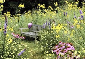tuin