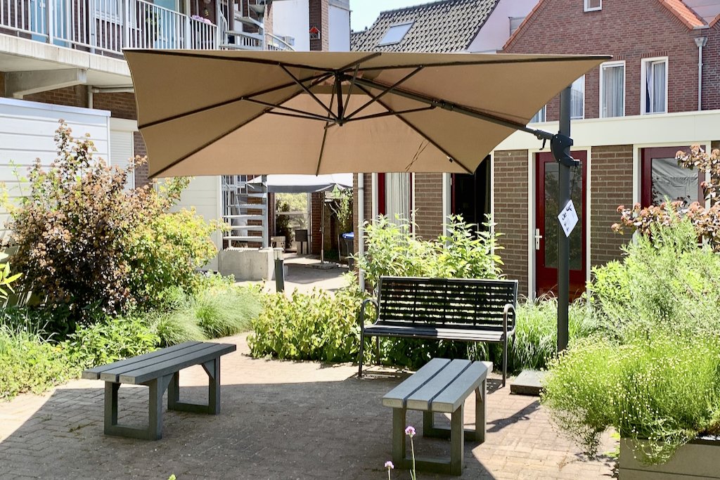 Parasol